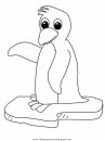 animales/pinguinos/pinguinos_39.JPG