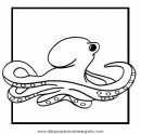 animales/pulpos/pulpos_10.JPG