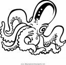 animales/pulpos/pulpos_14.JPG