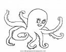 animales/pulpos/pulpos_15.JPG