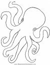 animales/pulpos/pulpos_16.JPG