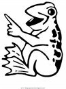 animales/ranas/ranas_13.JPG