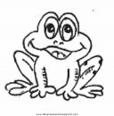 animales/ranas/ranas_21.JPG
