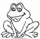 animales/ranas/ranas_22.JPG