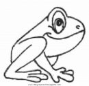 animales/ranas/ranas_23.JPG
