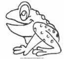 animales/ranas/ranas_24.JPG