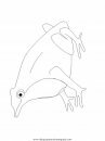 animales/ranas/ranas_30.JPG