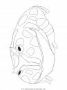 animales/ranas/ranas_32.JPG