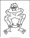 animales/ranas/ranas_43.JPG