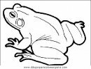 animales/ranas/ranas_47.JPG