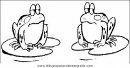 animales/ranas/ranas_50.JPG