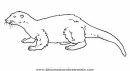 animales/rodedores/nutria_2.JPG