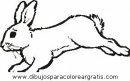 animales/rodedores/rodedore_06.JPG