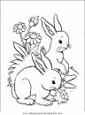 animales/rodedores/rodedore_100.JPG