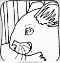 animales/rodedores/rodedore_101.JPG