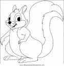 animales/rodedores/rodedore_104.JPG