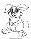 animales/rodedores/rodedore_106.JPG