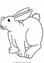 animales/rodedores/rodedore_114.JPG