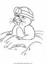 animales/rodedores/rodedore_115.JPG