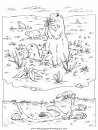 animales/rodedores/rodedore_125.JPG