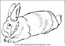 animales/rodedores/rodedore_14.JPG
