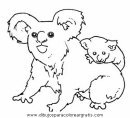 animales/rodedores/rodedore_16.JPG