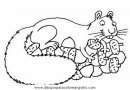 animales/rodedores/rodedore_26.JPG