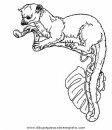 animales/rodedores/rodedore_44.JPG