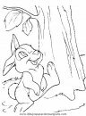 animales/rodedores/rodedore_48.JPG