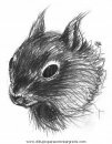 animales/rodedores/rodedore_49.JPG