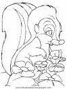 animales/rodedores/rodedore_53.JPG
