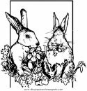 animales/rodedores/rodedore_68.JPG