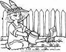 animales/rodedores/rodedore_91.JPG