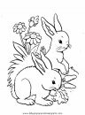 animales/rodedores/rodedore_98.JPG