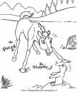 animales/rodedores/topos_2.JPG