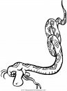 animales/serpientes/serpientes_10.JPG