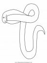 animales/serpientes/serpientes_18.JPG