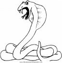 animales/serpientes/serpientes_25.JPG