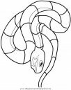 animales/serpientes/serpientes_29.JPG