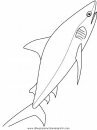 animales/tiburones/tiburones_04.JPG