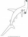 animales/tiburones/tiburones_06.JPG