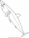 animales/tiburones/tiburones_07.JPG