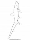 animales/tiburones/tiburones_10.JPG