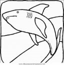 animales/tiburones/tiburones_14.JPG