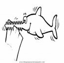 animales/tiburones/tiburones_24.JPG