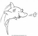 animales/tiburones/tiburones_25.JPG