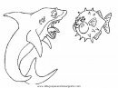 animales/tiburones/tiburones_27.JPG