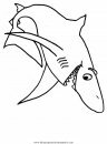animales/tiburones/tiburones_31.JPG