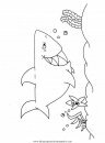 animales/tiburones/tiburones_32.JPG