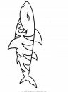 animales/tiburones/tiburones_34.JPG